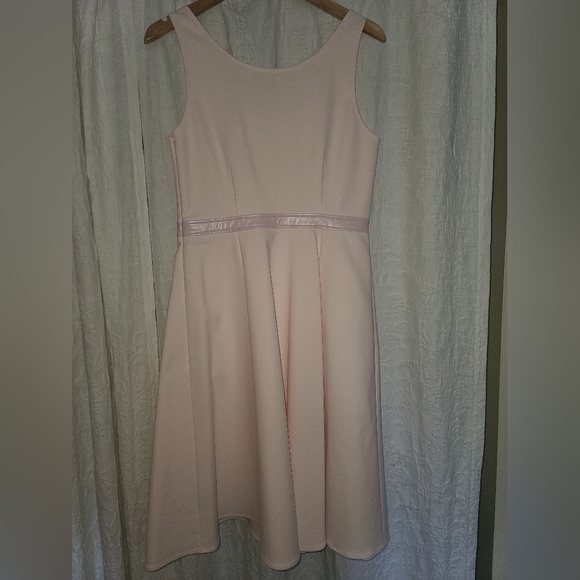 Cynthia Steffe rose mist fit and flare dress az 10 - Picture 6 of 7